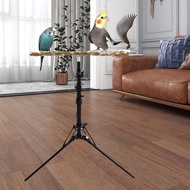 Parrot Perch Bird Stand Stand for Parakeets Budgie Bird Accessories Adjustable Wood Parrot Perch Toy