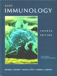 Kuby Immunology (新品)