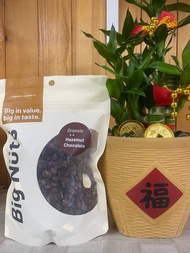 BIG NUTS -GRANOLA HAZELNUT CHOCOLATE / NUTS& CRANBERRY / MATCHA GREEN TEA -200GM/500GM