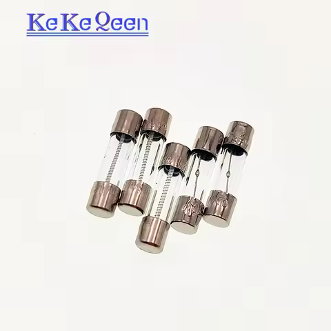 100Pcs 250V 5X20 T100mA 200mA 315mA 500mA T1A T1.25A T1.6A T2A 3A 3.15A 4A 5A 6.3A 8A 10A 15A 20A 5*