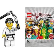Lego 71027 Minifigures Series 20 Martial Arts Boy MiSP