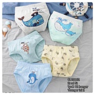 Boxer Kid boy Girl Underwear
