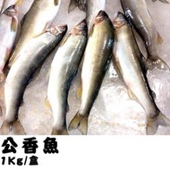 @@E-海鮮鋪＠@《公香魚1Kg》