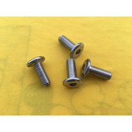 Stainless bolt 304- motorcycle Disc bolt for Raider J