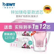 BWT Filter Cartridge Water Purifier Non-Direct Drinking Kitchen Appliance Activated Carbon Filter Wa