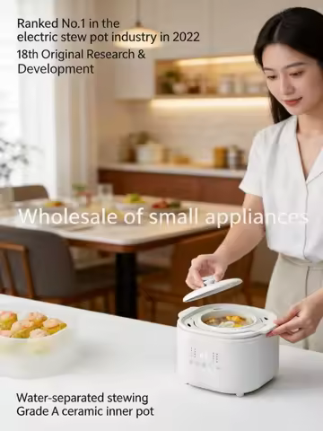 Multifunctional Electric Cooker Mini Stew Pot for Baby Food Supplement Bird Nest Porridge Household 