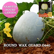 HSK [15pc] BIJI BENIH BUAH KUNDUR BULAT | ROUND WAX GUARD 640 SEED BIJI BENIH SAYUR KUNDUR