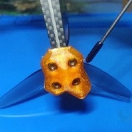 [GIJO] 3D Printed TPU iFlight Nazgul Evoque F5D / F5X Landing Gear Skid Arm Protector