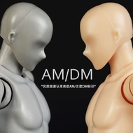 【Ready Stock】Action Figure Mannequin SHF Figures Body Kun Action Figure Body Chan SHFiguarts Girl Ma