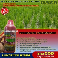 100% AMPUH KCL GAZA Pupuk Cair 500ML | Peningkat Anakan Padi Terbaik | Dorong Pertumbuhan Cepat Subu