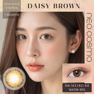 คอนแทคเลนส์ Daisy Brown (Neo Cosmo) รายเดือน เดซี่ สีน้ำตาล โตเล็กน้อย สวยธรรมชาติสไตล์ญี่ปุ่น รายเด