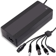 29.4V 2A Lithium Battery Charger, 5-in-1 Universal Plug Smart Charger for 24V 25.2V 25.6V 7S Lithium