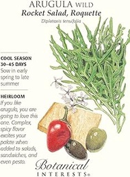 Wild Arugula Seeds Arugula Salad Roquette - 100 MG:packing seeds only