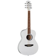 Luna Aurora Borealis Acoustic Guitar Size 3/4