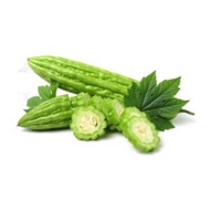 ±500gr Bitter Gourd / Peria - Fresh vegetables