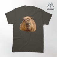 Masbro Capybara dozing in the sunshine Meme 1663