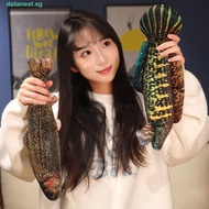 DATANEST​ Cartoon Fish Plush Toy, Perch Stuffed Simulation Fish Plush Pillow, Funny Grouper Soft Lov