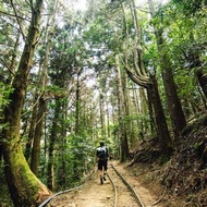 清新色系: 6dots Tyvek 登山包 40L 55L背包 露營 登山