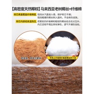 Children 1.2 Hard Palm Foldable Mattress Rice Economical Palm Mat Natural Coconut Palm 1.8 BK9K 30% 