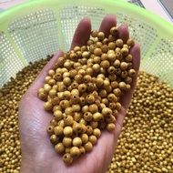 Original mulberry seeds (combo) 7