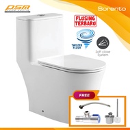 Sorento One Piece Water Closet Twister Rimless Flushing System Bathroom WC Package SRTWC8152-SH