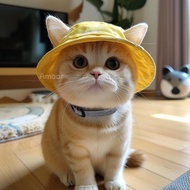 Cute dew-eared cat and dog hats, summer pet sunscreen sun hats, Devon cat hats, small dog fisherman 
