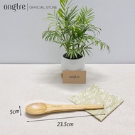 Bát Tre ONGTRE đựng Salad/món trộn/hoa quả/đồ khô (Bamboo Salad Bowl)