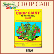CROP GIANT 19-19-19 FOLIAR FERTILIZER (1 KG) ALDIZ INC