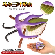 Simulation Hanwuji Ancient Biological Parrot Snail Trilobite Ammonite Model Toy Plastic Children's S