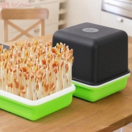 [COD] Seedling Tray Breathable Plastic Hydroponic Garlic Peanut Bean Sprout Sprout Planting Box