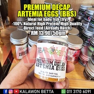 [DIRECT FEED BBS] Premium Decap Artemia Eggs