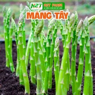 Easy to Grow Green Asparagus Seeds - h2t farm