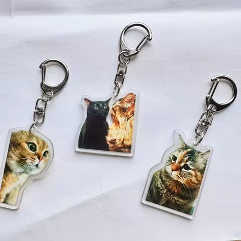 Internet Celebrity Cat Meme Keychains Acrylic Huh Cat Pendant Cute Happy Cat Key Rings Bags Key Char