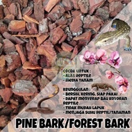 KAYU [1Kg] Forest bark pine bark Cage Mat substrate substart Animal Reptile Snake torto Lizard biawa