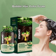 AB Natural Plant Hair Dye dyeing at home, gentle and easy to color without damaging your hair kjcheige.sg