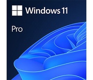 Windows 10/11 正版 激活碼