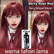 (Rose Red) SD / 5D /6D Korea Highlight Hair Color Cream / Color Wax Hair Color Mask Fruit Frutis Col