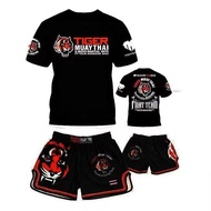 【shirts+shorts】Tiger Muay Thai Shorts - Quick-Dry MMA UFC Boxing & Combat Training Apparel - Stretch