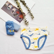 Kids Brief Children Underwear Boy Cartoon Cotton T- Rex Dinosaur Brief (3 Pieces Set)