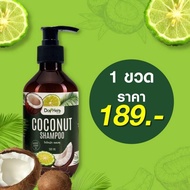 โคโคนัทแชมพู สูตรมะพร้าว COCONUT SHAMPOO