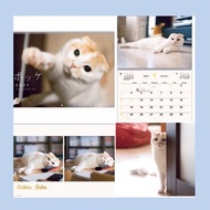 貓貓2021壁掛月曆