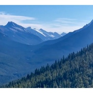 Product Test 4 June 2025