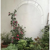 Ainope ซุ้มไม้เลื้อย เหล็ก ซุ้มกุหลาบโค้ง เหล็ก 240*140*38cm ซุ้มผัก โครงซุ้มดอกไม้ ชั้นวางดอกไม้ จั