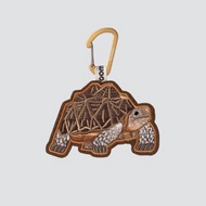 步步踏實－陸龜