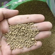 Akadama Substrate 1Kg