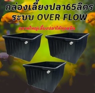 อ่างเลี้ยงปลา 65 ลิตร ระบบoverflow 64x44x31ซ. ท่อสีขาว กะบะเลี้ยงปลา อ่างเลี้ยงปลา อ่างเลี้ยงปลาเมกา