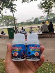 JAMU MERPATI KOLONG 100 PIL TRISULA Spesial edition TOP SPRINT MENAMBAH CC DAN GAYA SPEED TERBANG MA
