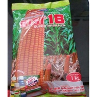 Benih jagung hibrida Bisi 18 isi 1kg jagung bisi18 bibit jagung