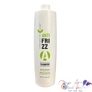 [ NA ] DEL COLORE ANTIFRIZZ SHAMPOO anti-frizz SHAMPOO 1000ml