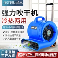 In Stock Three-Speed Adjustable Floor Blower for Shopping Malls and Hotels, Powerful Carpet Dryer, D
